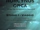 horcynus