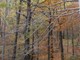 autunno