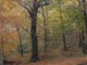 autunno